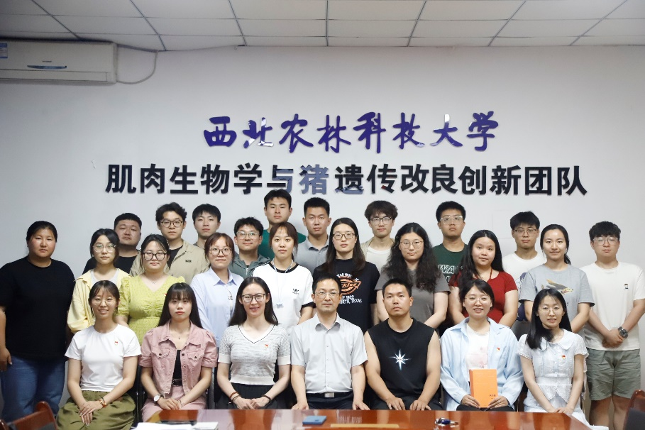 图片11.png