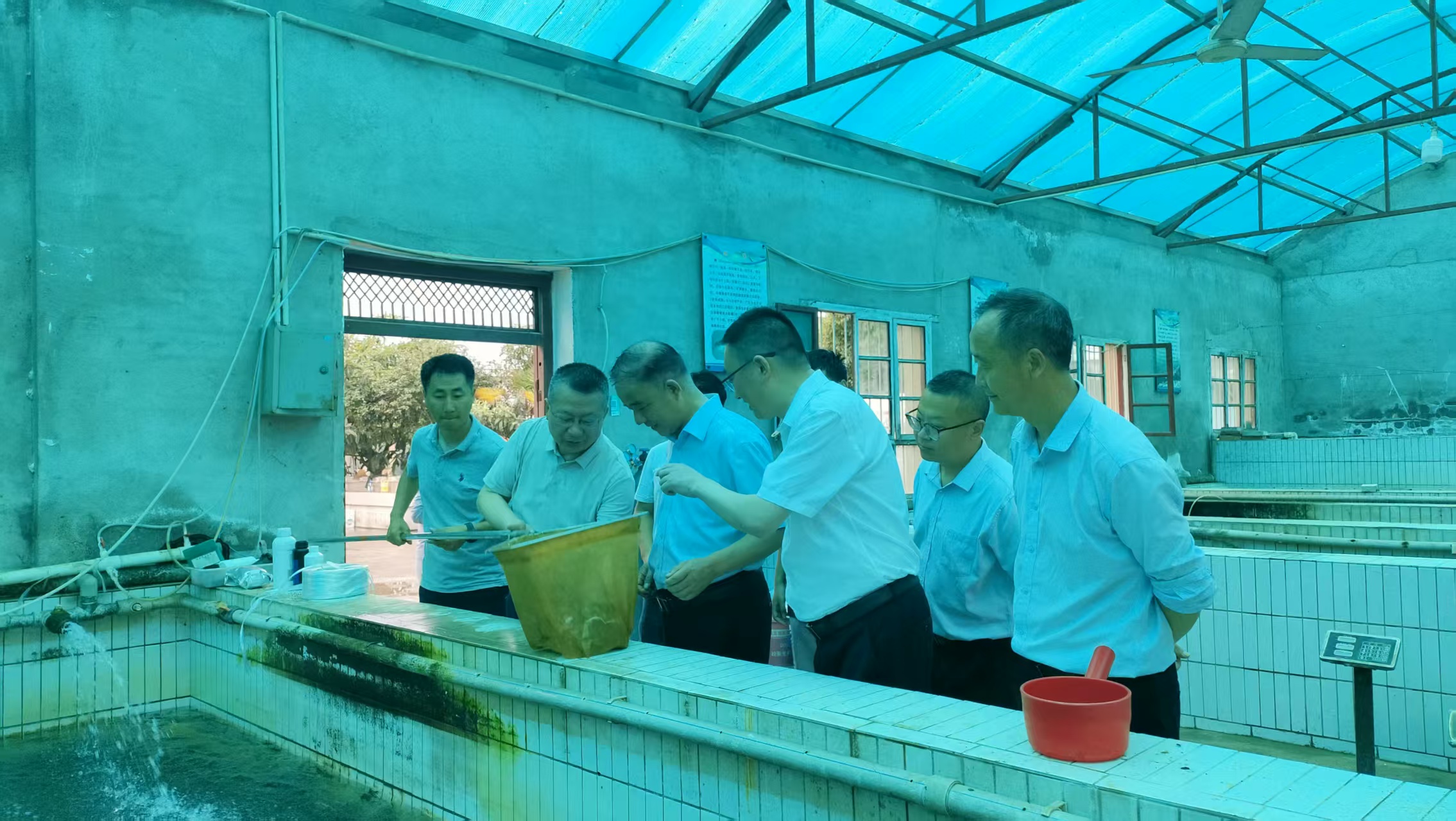 参观苗种车间杂交鲟养殖.jpg