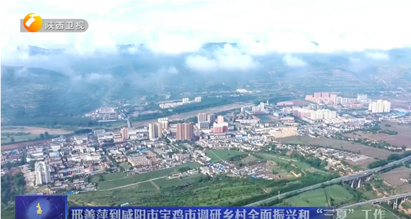 【陕西卫视】省委副书记邢善萍赴百家乐策略
正大吨产奶山羊育种基地考察调研