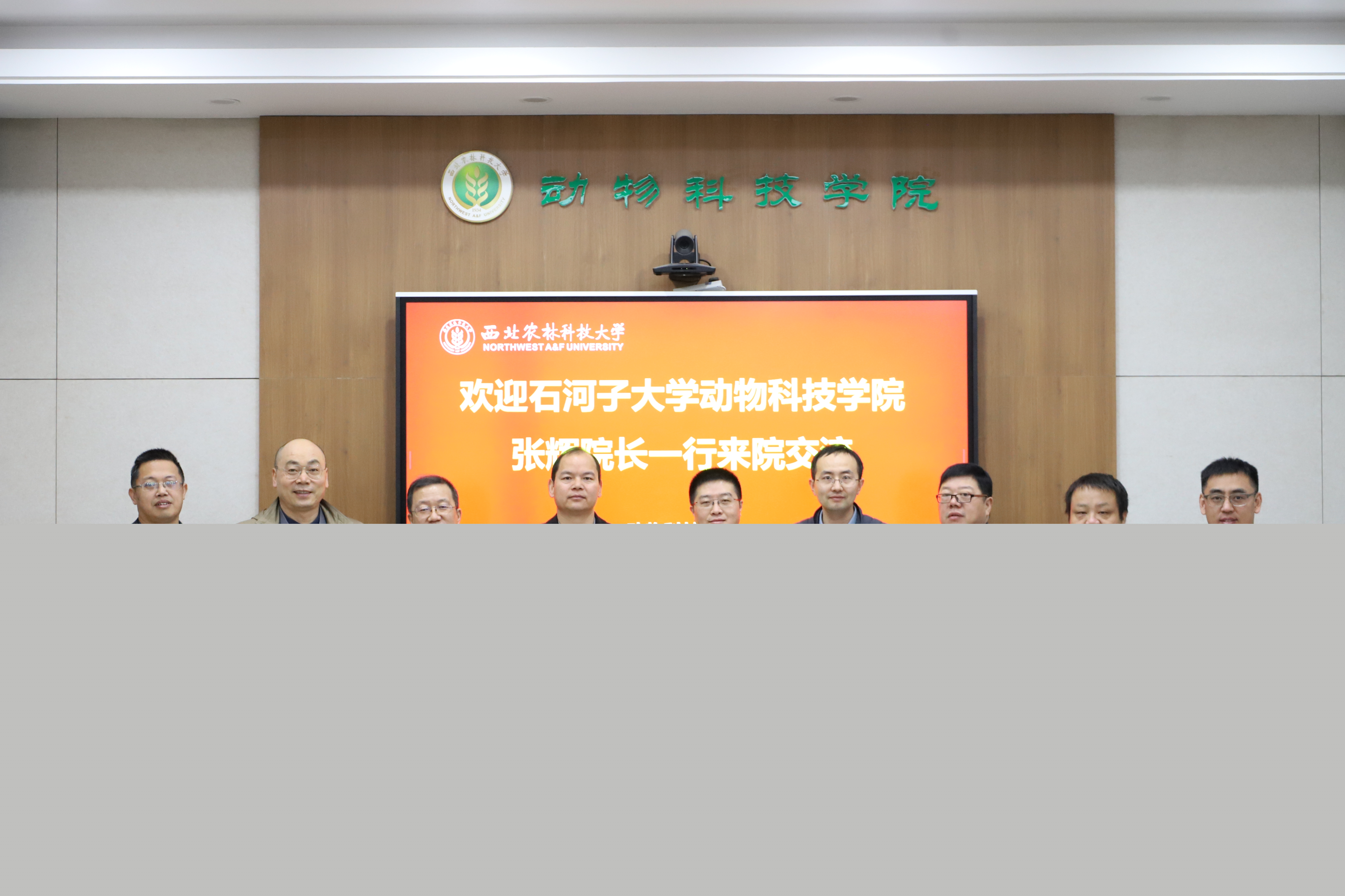 d785082a03914da7802438303e814200.jpg