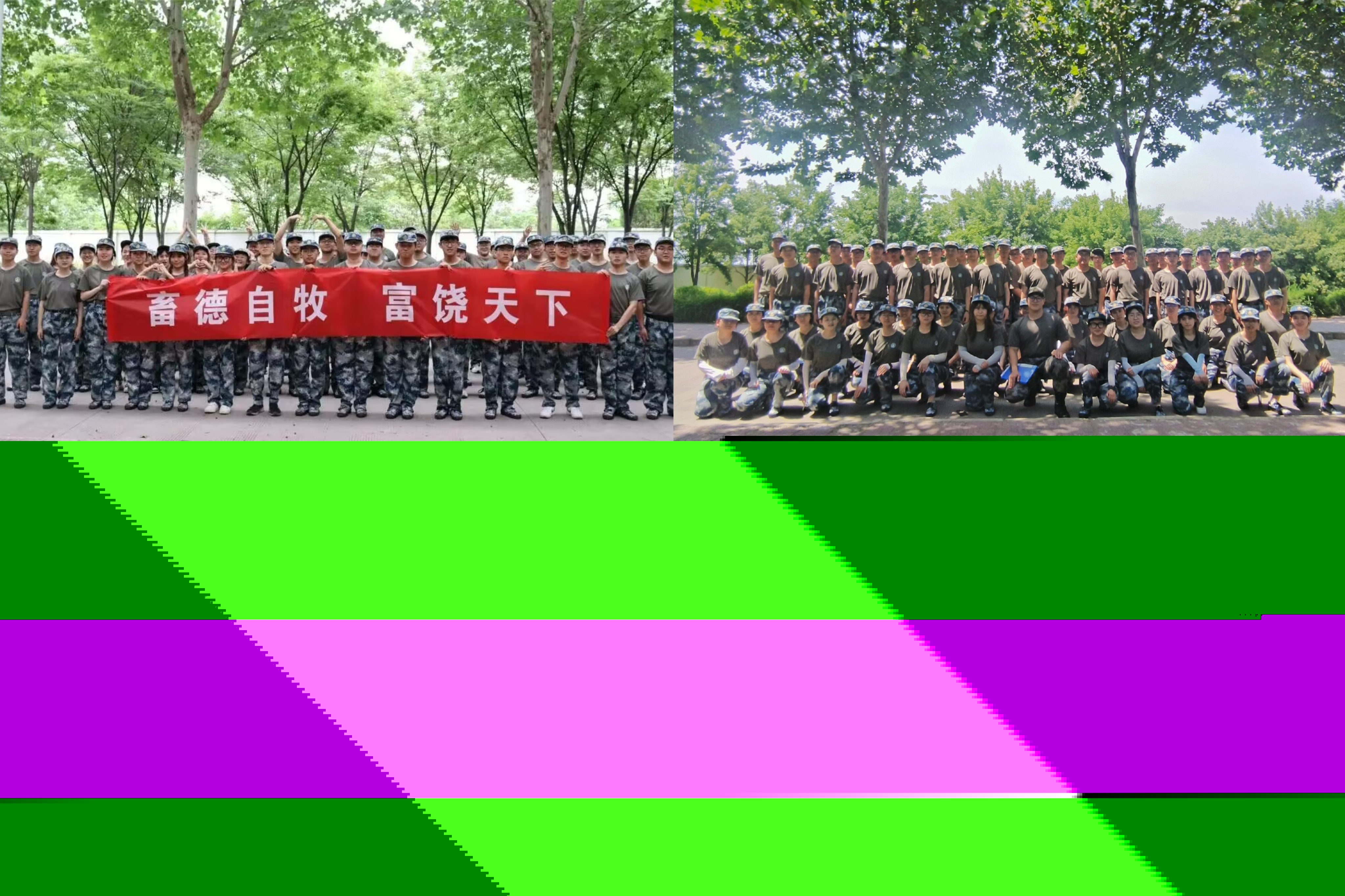 68bb5770cb3248e9b5a61b1df47c1e2d.jpg
