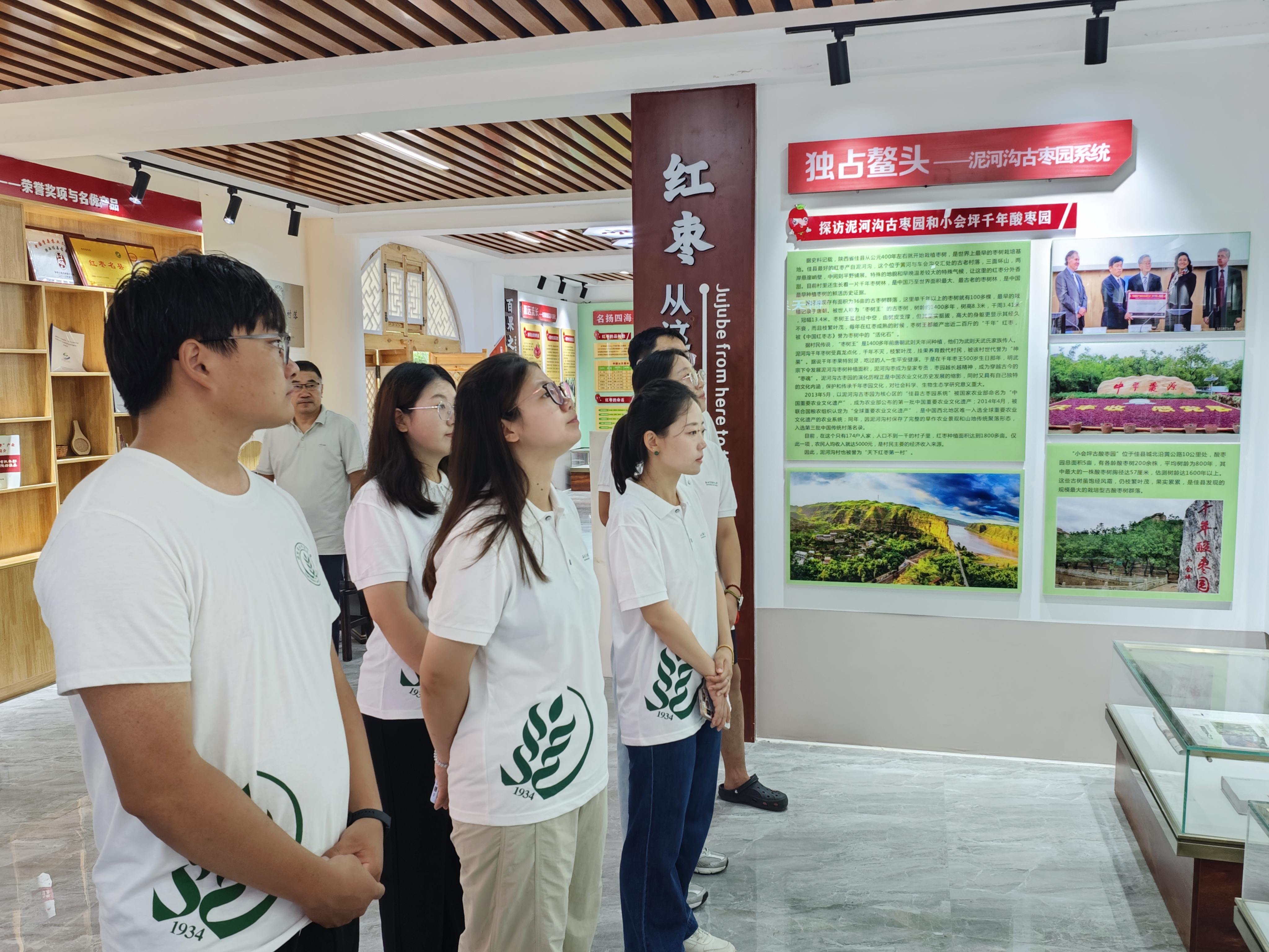 图片一 队员在红枣博物馆参观学习.jpg