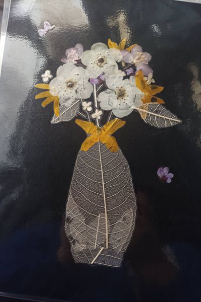 图三动科2405杨心雨的作品.jpg