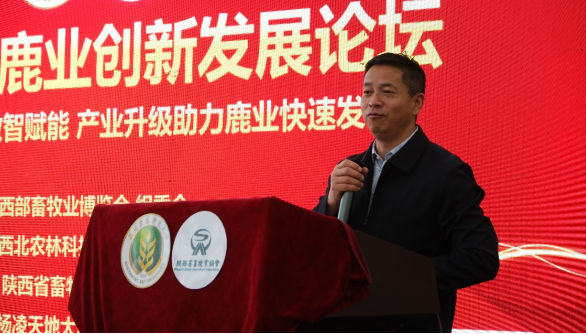 QQ_1776653396428.png