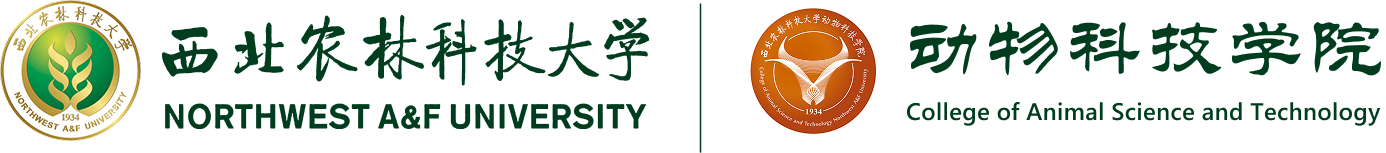 百家乐策略
