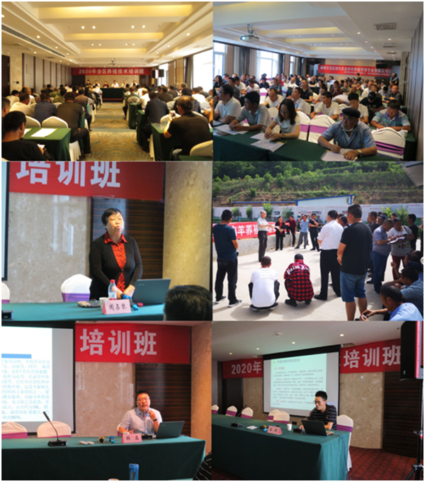 a1e6e86fc6d14d129694d176e1032bf7.png QQ图片20200628090450.png