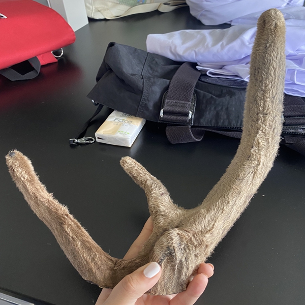 205978e59c3645feba2f5a93efa866a0.jpg 图片1_副本.jpg