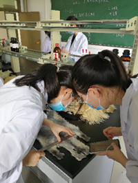 6cba396e1dd044a7af0725a3189d9a28.png 图片7.png