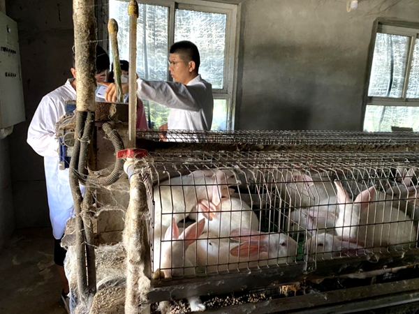 73869a7e021d4fe69bd1507d559c6086.jpg 图片3_副本.jpg