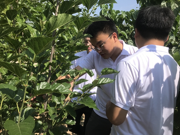 78fe9d76b85e4644a851afeff1037202.jpg IMG_4204.JPG