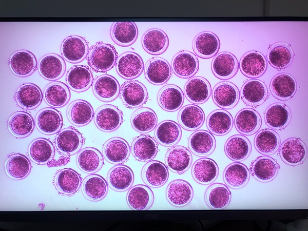 7ee26183e7c74b3e988f02a8d16d35da.jpg 微信图片_20201014091556_副本.jpg