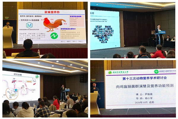 a5e9385fedf242f79e1fe20bee86262e.jpg 光影魔术手拼图.jpg