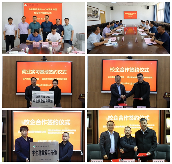 4a64597869ab4a01938850d6cc2749e7.jpg 156.jpg