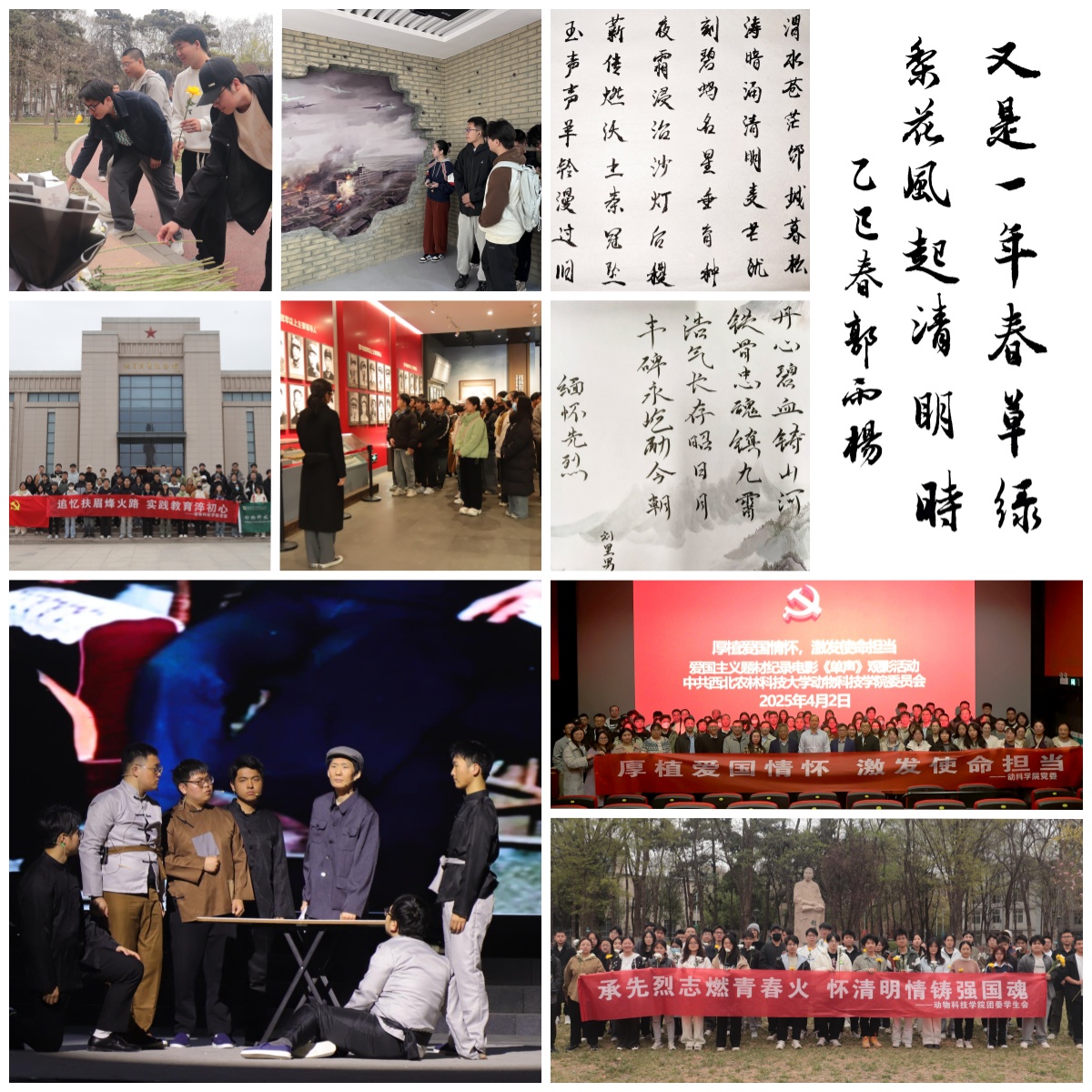 百家乐策略开展
清明节系列教育活动.jpg